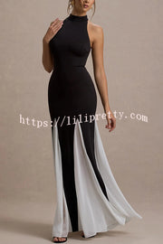 Litzy Contrast Color Panelled Tulle High Neck Stretch Maxi Dress