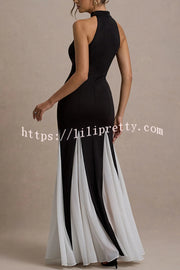 Litzy Contrast Color Panelled Tulle High Neck Stretch Maxi Dress