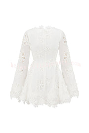 Diaz Embroidery Hollow Fabric Delicate Flower Trim Long Sleeve Side Lace-up Mini Dress