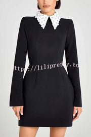 Alisha Contrast Floral Appliqué Pointed Collar Long Sleeve Pocketed Mini Dress