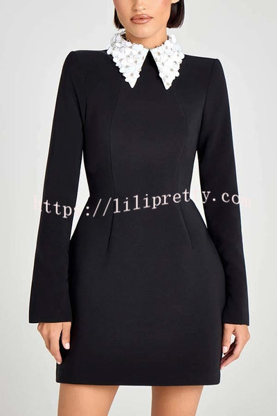 Alisha Contrast Floral Appliqué Pointed Collar Long Sleeve Pocketed Mini Dress