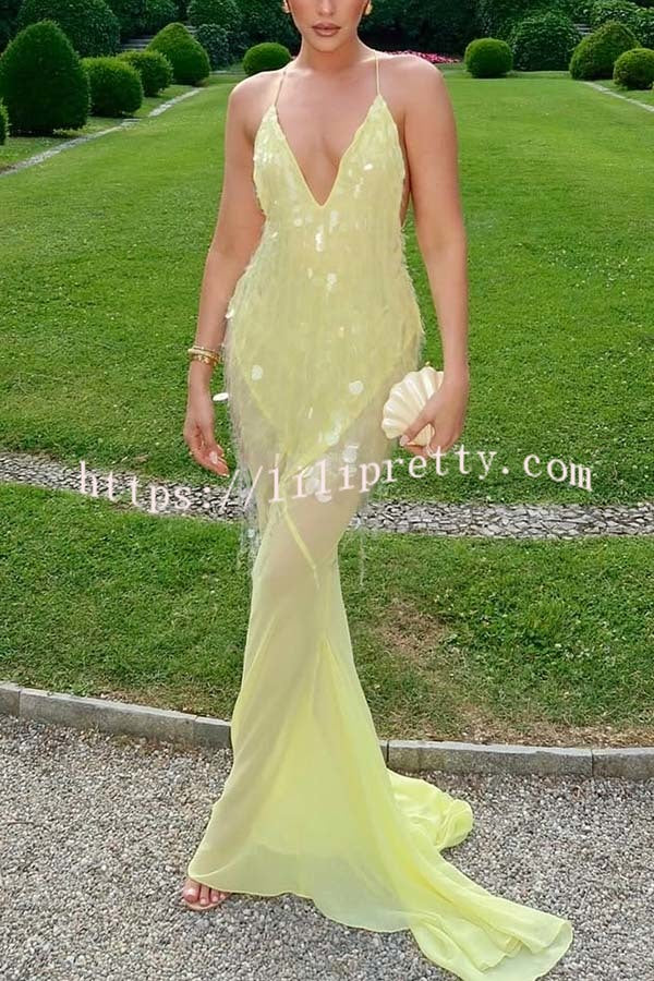 Perfect Night Sequin Embroidery Backless Drape Tulle Hem Slip Maxi Dress