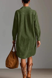 Fashionable Embroidered Loose Suede Long-sleeved Casual Mini Dress