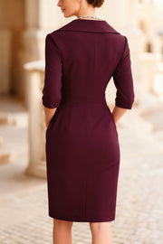 Solid Color Elegant Lapel Fitted Waist Slim Professional Mini Dress