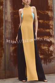 Fashionable Contrast Color Stitching Sleeveless Slim Maxi Dress