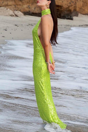 Sexy Sleeveless Backless Sequined Fitted Maxi Dress