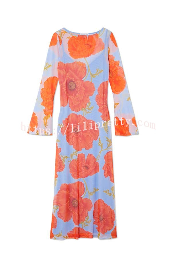Perfect Cross-season Mesh Poppy Flower Print Long Sleeve Stretch Maxi Dress