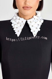 Alisha Contrast Floral Appliqué Pointed Collar Long Sleeve Pocketed Mini Dress
