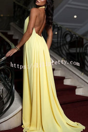 Sunny Horizon Chiffon Flower Feather Pendant Halter Backless Maxi Dress