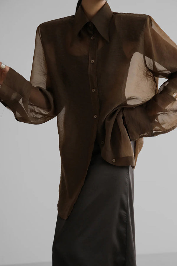 Retro Sheer Loose Long-sleeved Casual Shirt