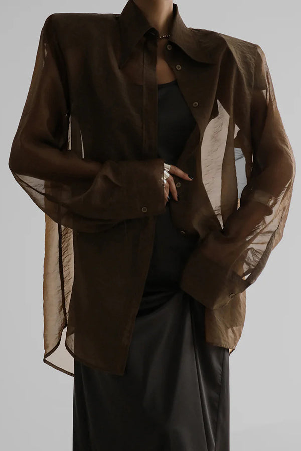 Retro Sheer Loose Long-sleeved Casual Shirt