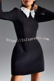Alisha Contrast Floral Appliqué Pointed Collar Long Sleeve Pocketed Mini Dress