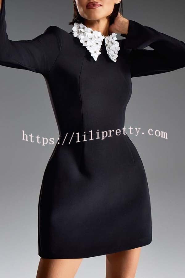 Alisha Contrast Floral Appliqué Pointed Collar Long Sleeve Pocketed Mini Dress