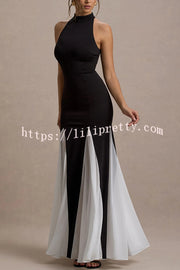 Litzy Contrast Color Panelled Tulle High Neck Stretch Maxi Dress