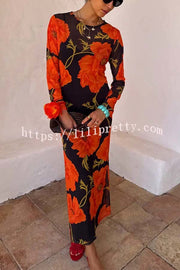 Perfect Cross-season Mesh Poppy Flower Print Long Sleeve Stretch Maxi Dress