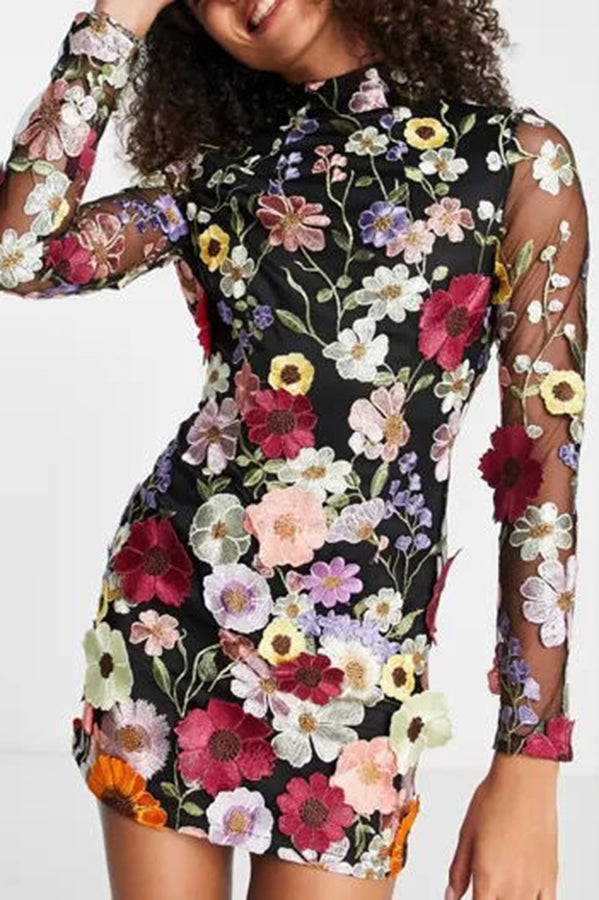 Lilipretty Elegantly Enchanted Floral Applique Backless Long Sleeve Mini Dress